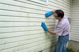 Best Fiber Cement Siding Installation  in Rusk, TX